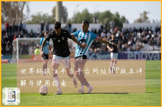 世界杯投注平台平台网址APP版本详解与使用指南