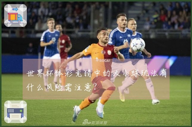 世界杯体彩竞猜中的大小球玩法有什么风险需注意?
