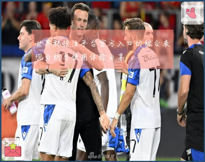 世界杯投注平台官方入口的综合表现分析与使用体验分享