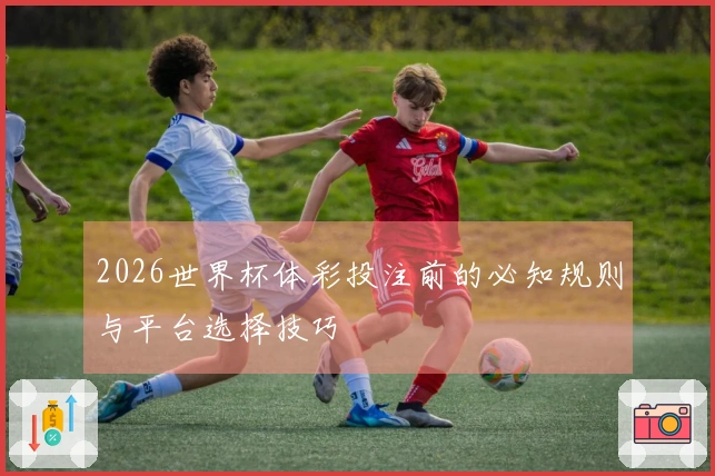 2026世界杯体彩投注前的必知规则与平台选择技巧