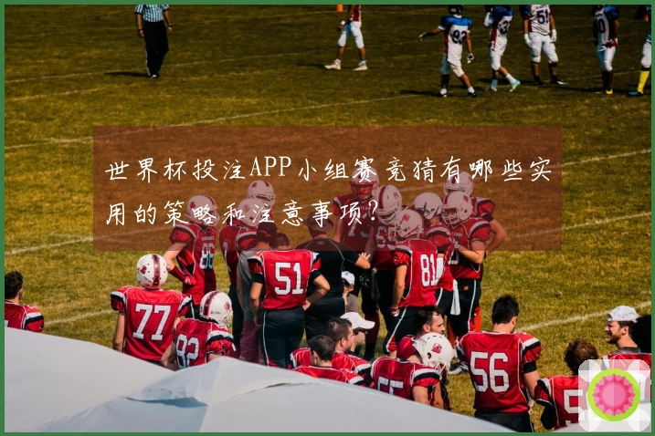 世界杯投注APP小组赛竞猜有哪些实用的策略和注意事项？