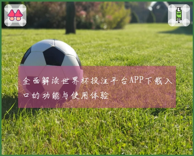 全面解读世界杯投注平台APP下载入口的功能与使用体验