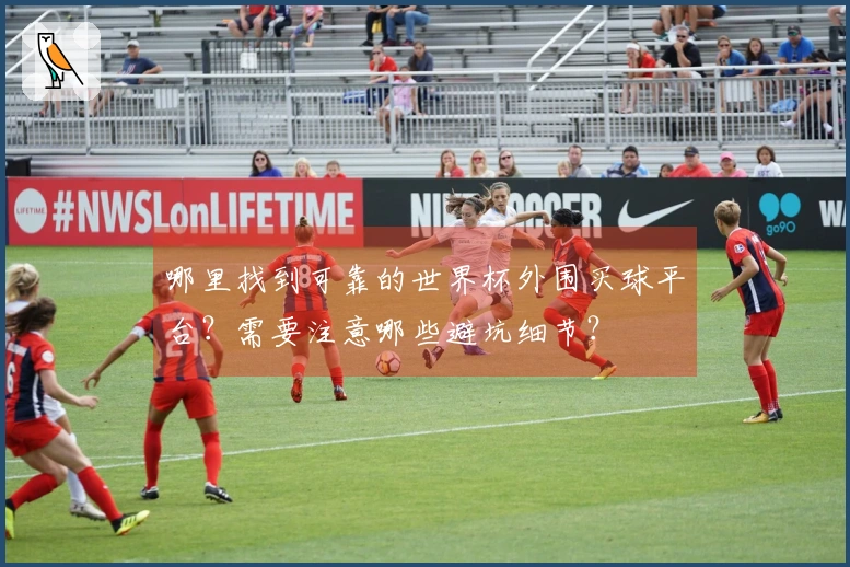 哪里找到可靠的世界杯外围买球平台？需要注意哪些避坑细节？
