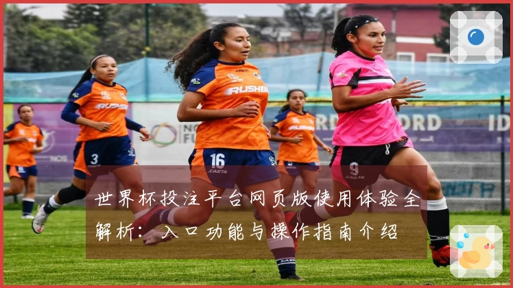 世界杯投注平台网页版使用体验全解析：入口功能与操作指南介绍