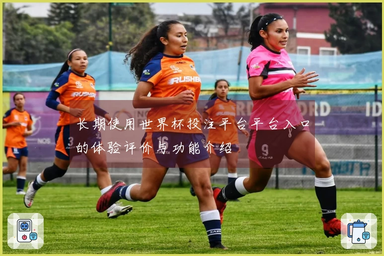 长期使用世界杯投注平台平台入口的体验评价与功能介绍