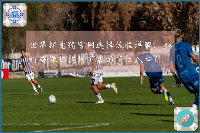 世界杯竞猜官网选择流程详解：如何确保你找到可靠的下注入口？