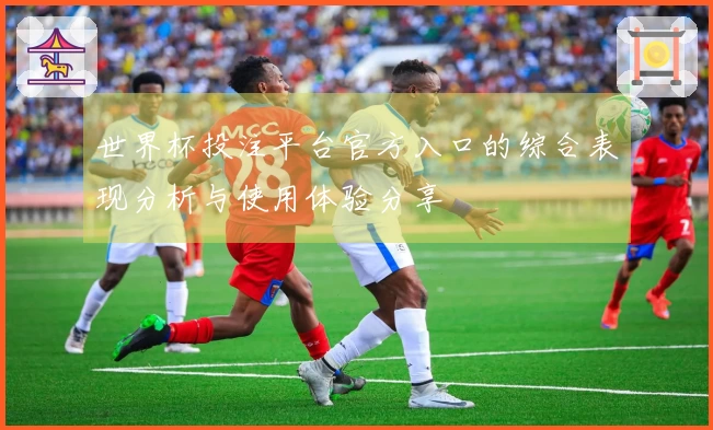 世界杯投注平台官方入口的综合表现分析与使用体验分享