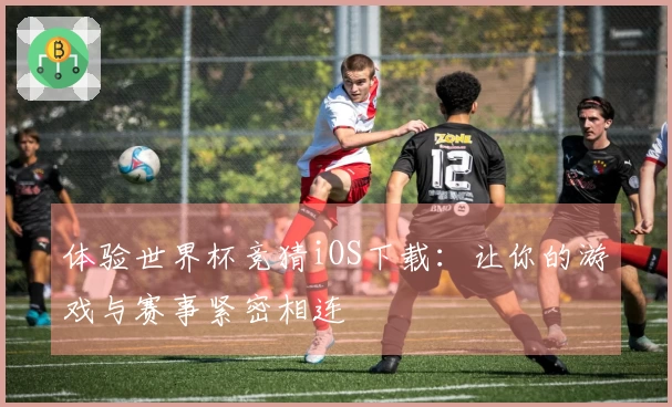 体验世界杯竞猜iOS下载:让你的游戏与赛事紧密相连