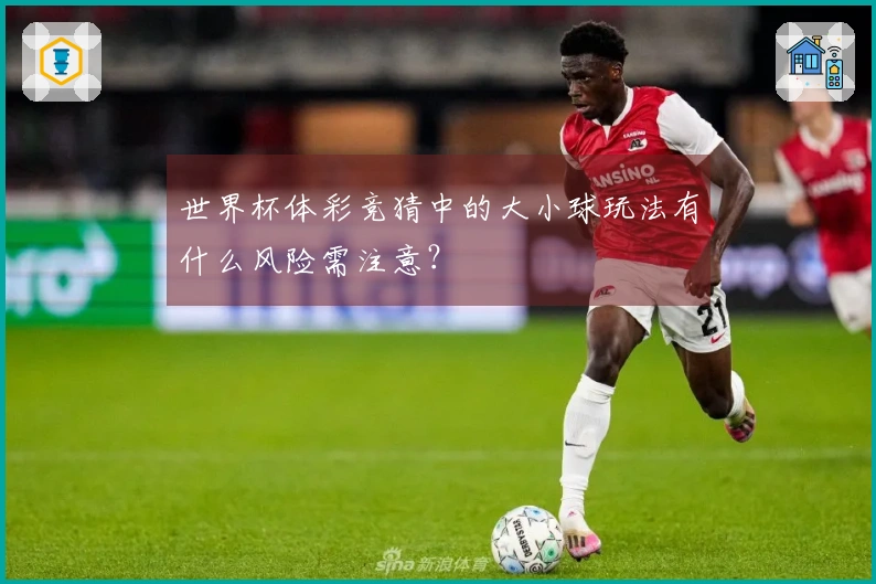世界杯体彩竞猜中的大小球玩法有什么风险需注意？